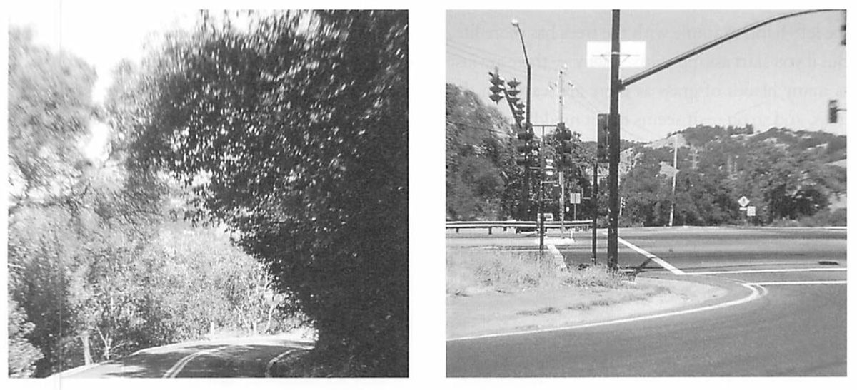 Suburban road with trees on left, suburban road with traffic lights on right