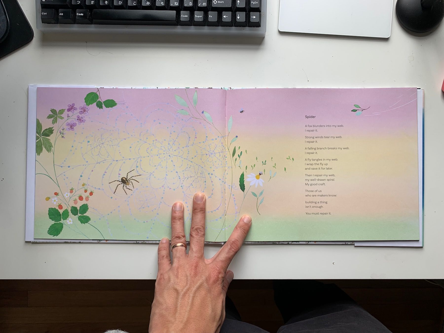 Illustration spread, a spider in a dewdrop web, leaves, flowers, and berries growing around.