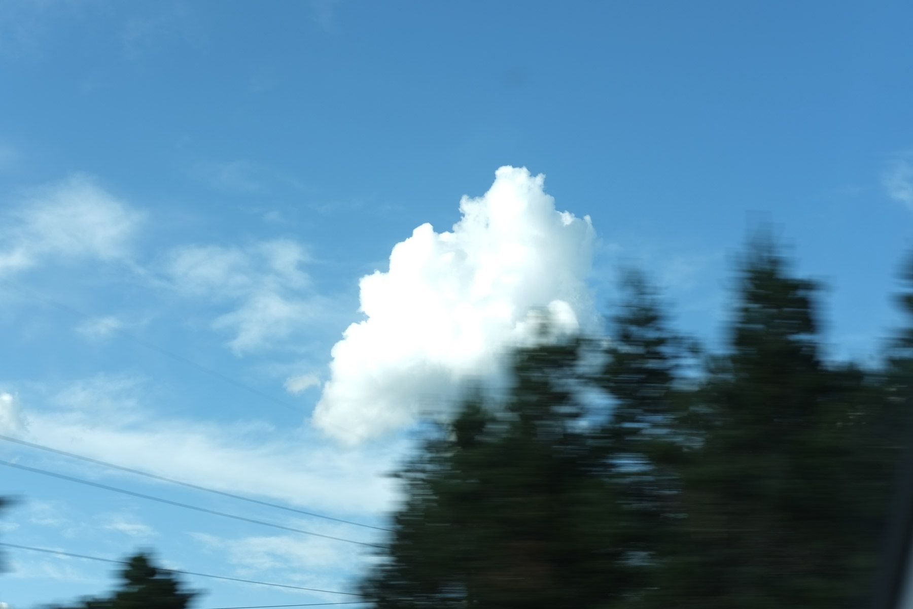 Still cloud in blue sky, trees speeding by.