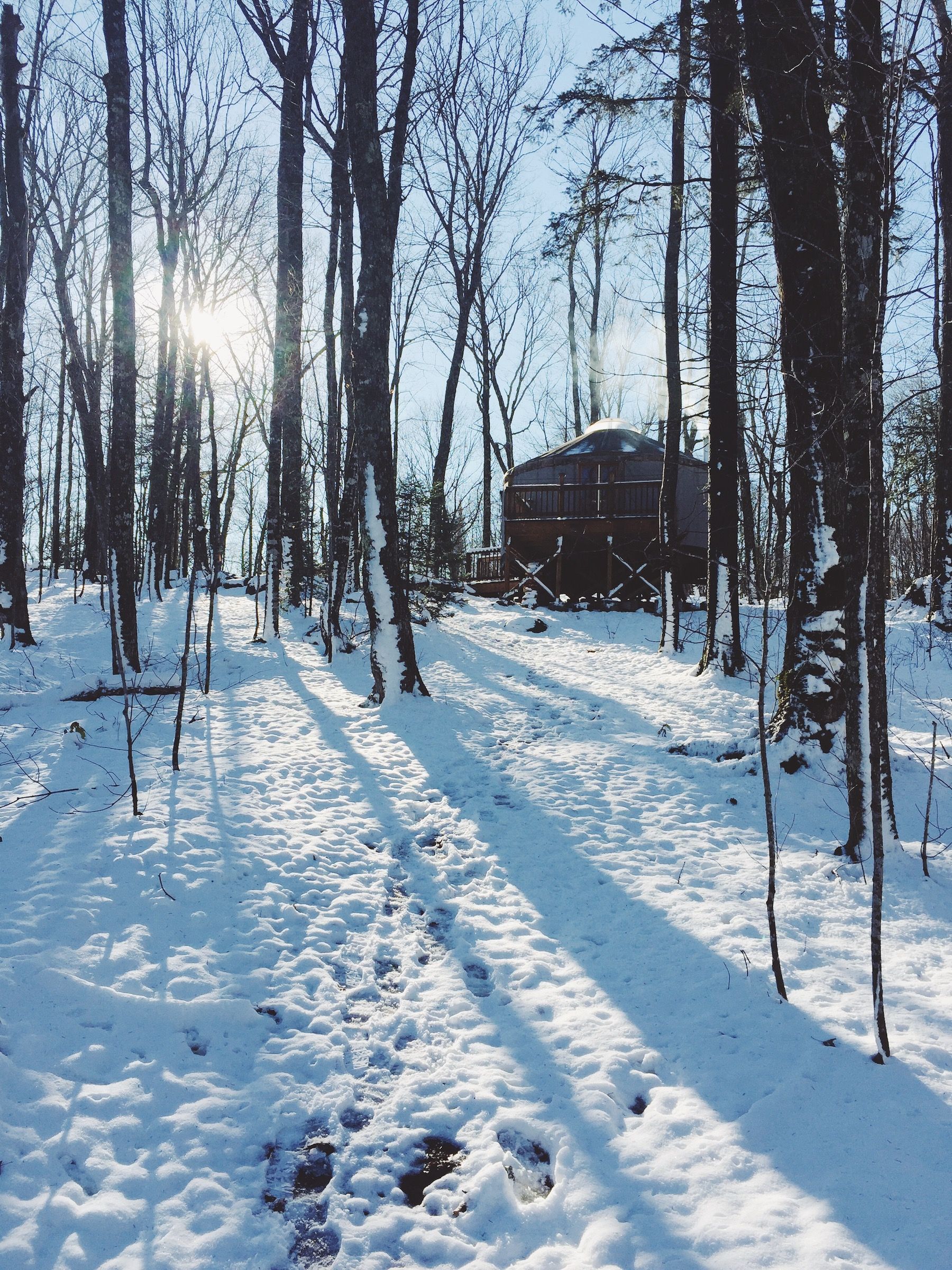 Snowy sunlit woods. Yurt and barren trees, throwing shadows toward camera.