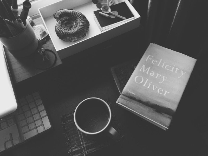 Black and white of desk. Keyboard, spiral fossil, broken spoon, Mary Oliver's Felicity.