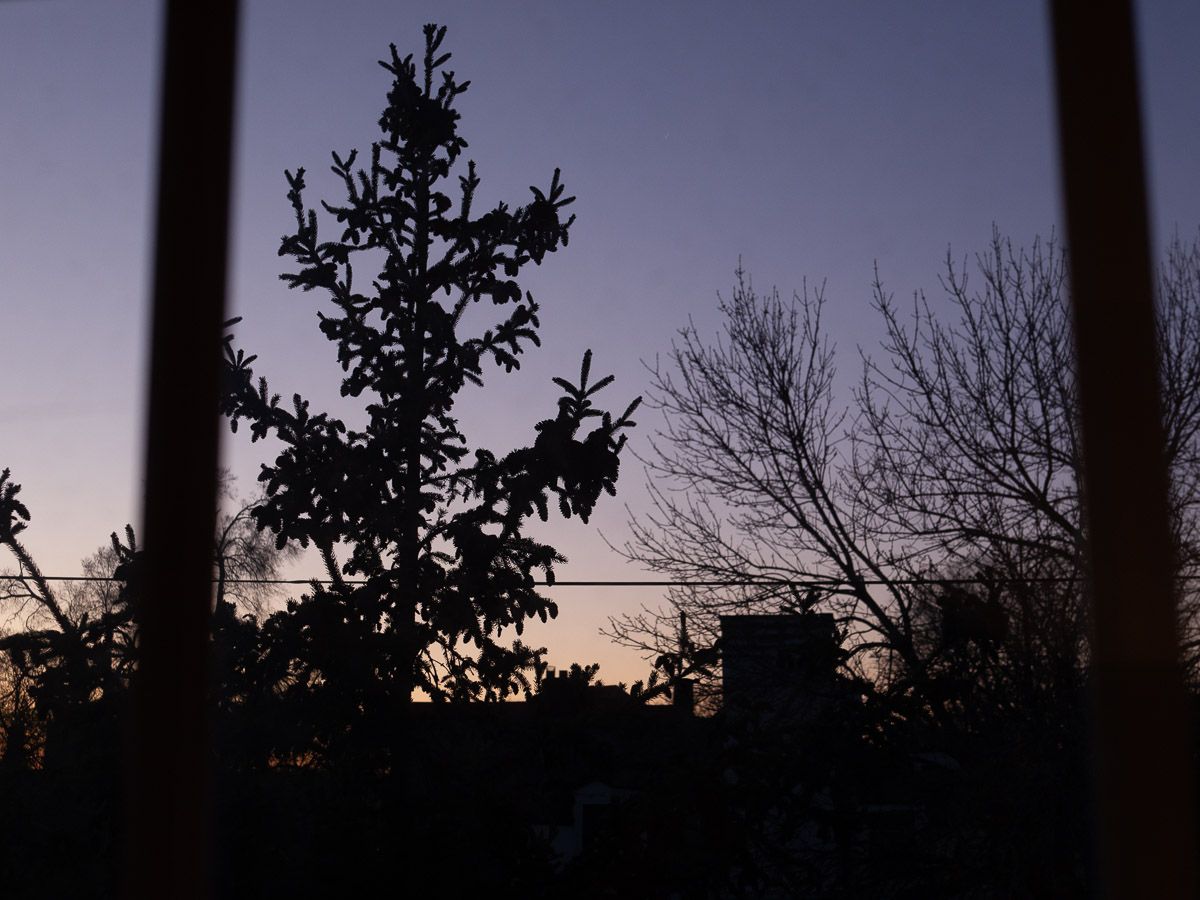 Sunset with silhouetted trees, through paned windows.