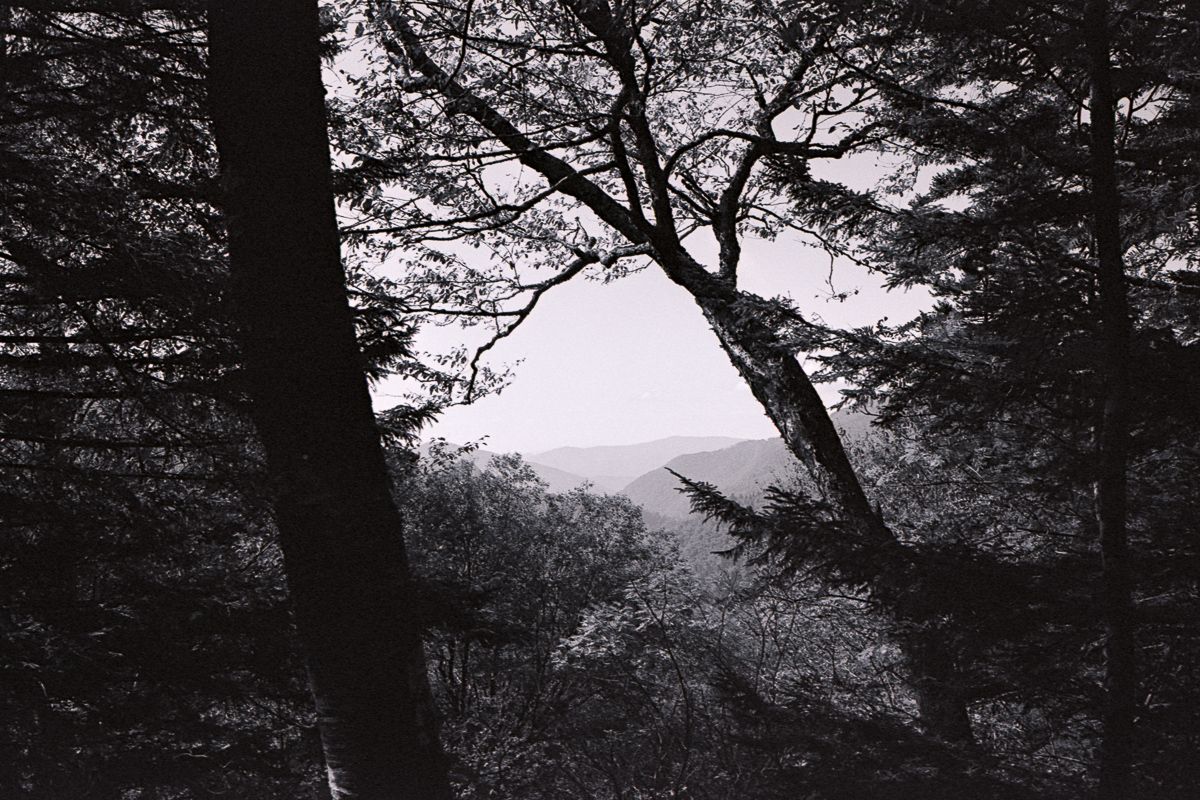 Black and white. Smokies through a clearing of trees.