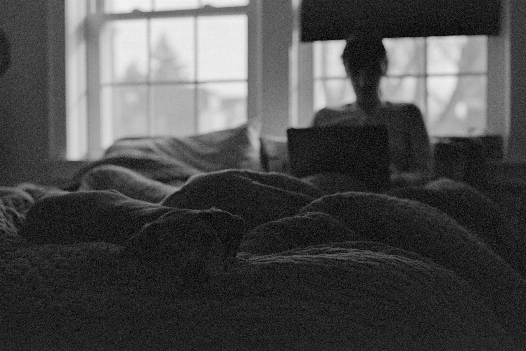 Black and white. Sleeping pup at foot of bed. Julia on laptop, out of focus.