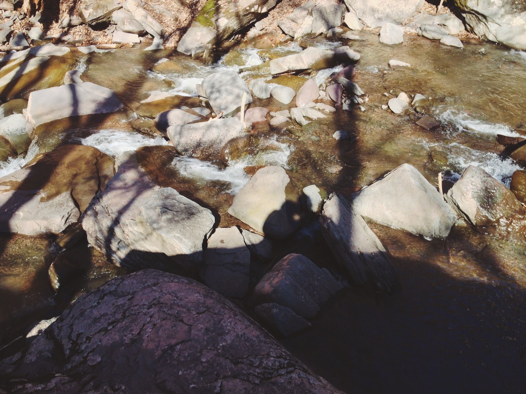 Sunny silhouettes of couple and trees against a rocky creekbed.