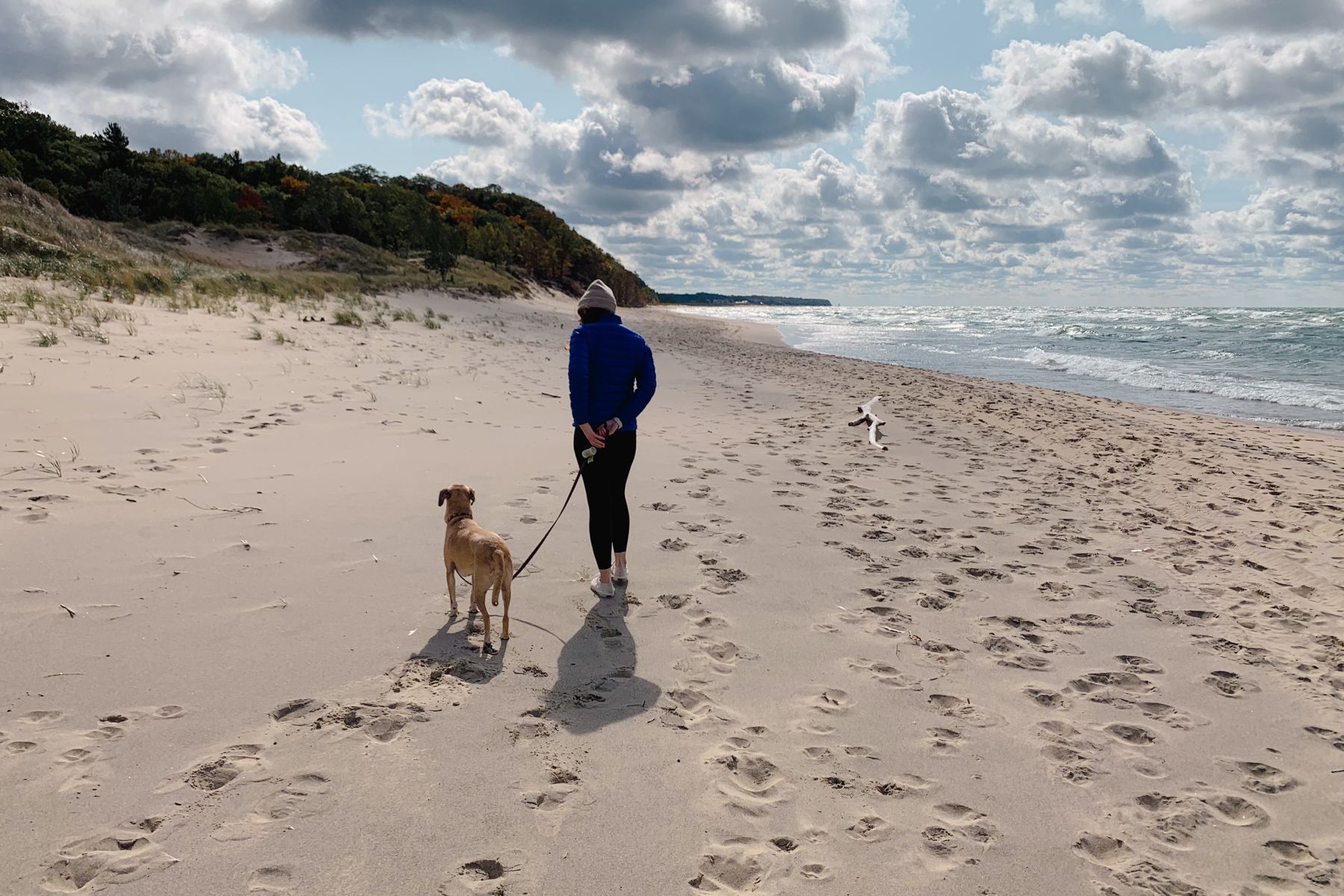 Cloudy Lake Michigan beach. Julia and Matisse walking ahead, footprints on sand, driftwood log.