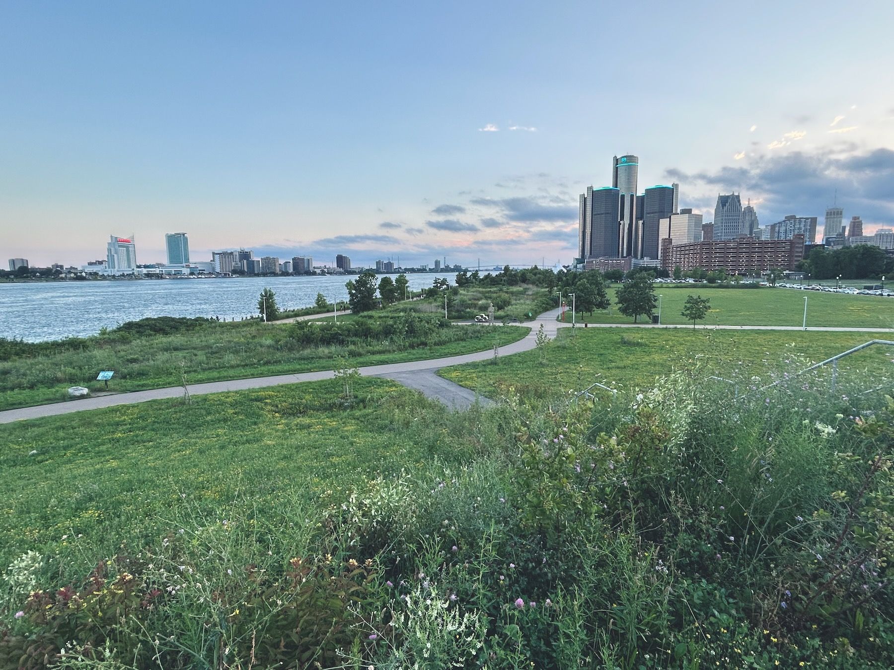 View from a hill near the Detroit river. Wetland plants, snaking concrete path, skyline and Windsor in the distance.