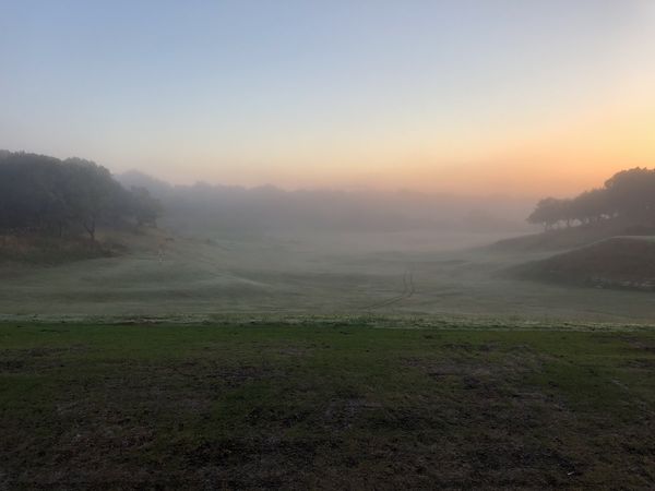 Just past sunrise, frosted open field, cart tracks into the distance.