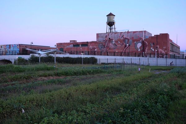 Lush green vegetable garden rows, graffitied warehouses, cotton-candy blue and pink sky.