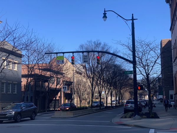 Street with trees in median, clear sky, red lights at intersection.